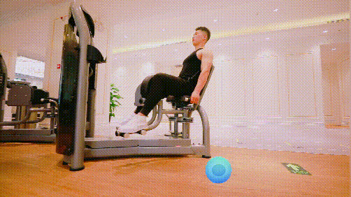 激素,健身,增肌,动作,练腿