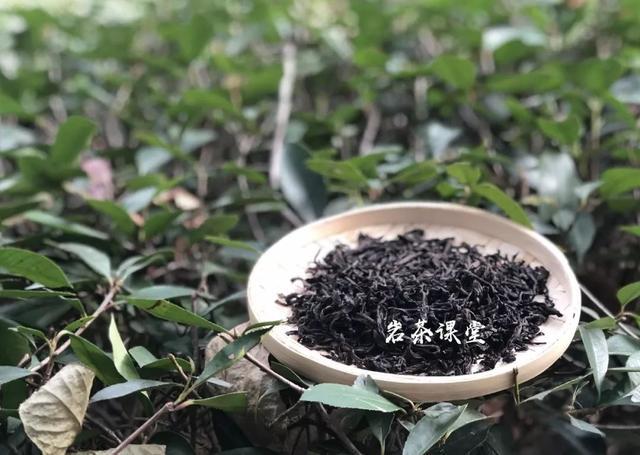 无论水仙,肉桂,大红袍,武夷岩茶是陈茶好喝,还是新茶好喝?