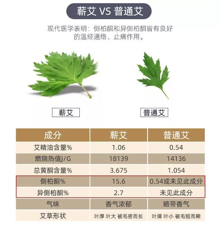 温经通络,止痛 等作用