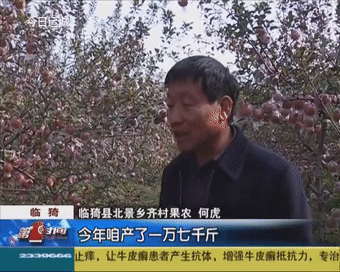 北景乡多少人口_宁夏有多少人口
