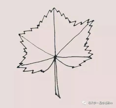 每天学一幅简笔画-秋季枫叶简笔画步骤画法
