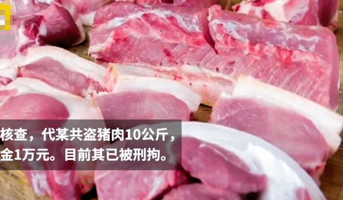 男子偷20斤猪肉,开袋见1万现金吓懵,男子:肉太贵了!