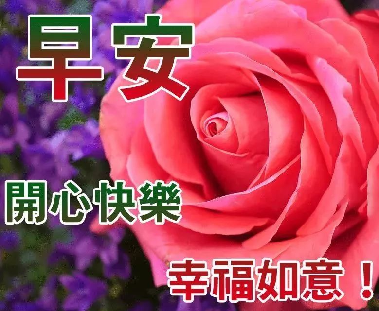 早安正能量句子2019 早安图片祝福唯美带字