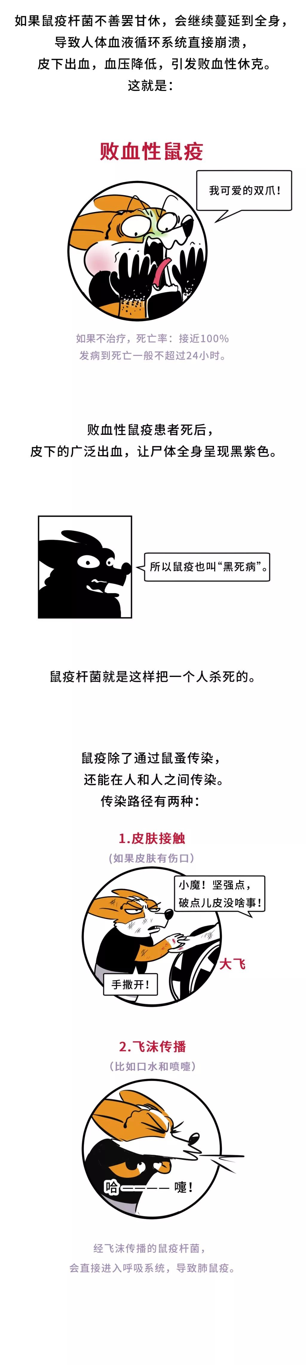 鼠疫杀死一个人类的全过程被我们复原了