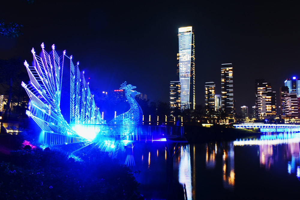 城市摄影,深圳灯光秀,深圳湾人才公园,城市夜景,夜景