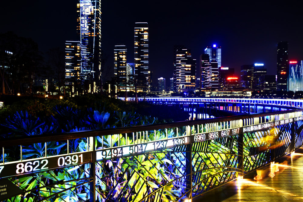 城市摄影,深圳灯光秀,深圳湾人才公园,城市夜景,夜景