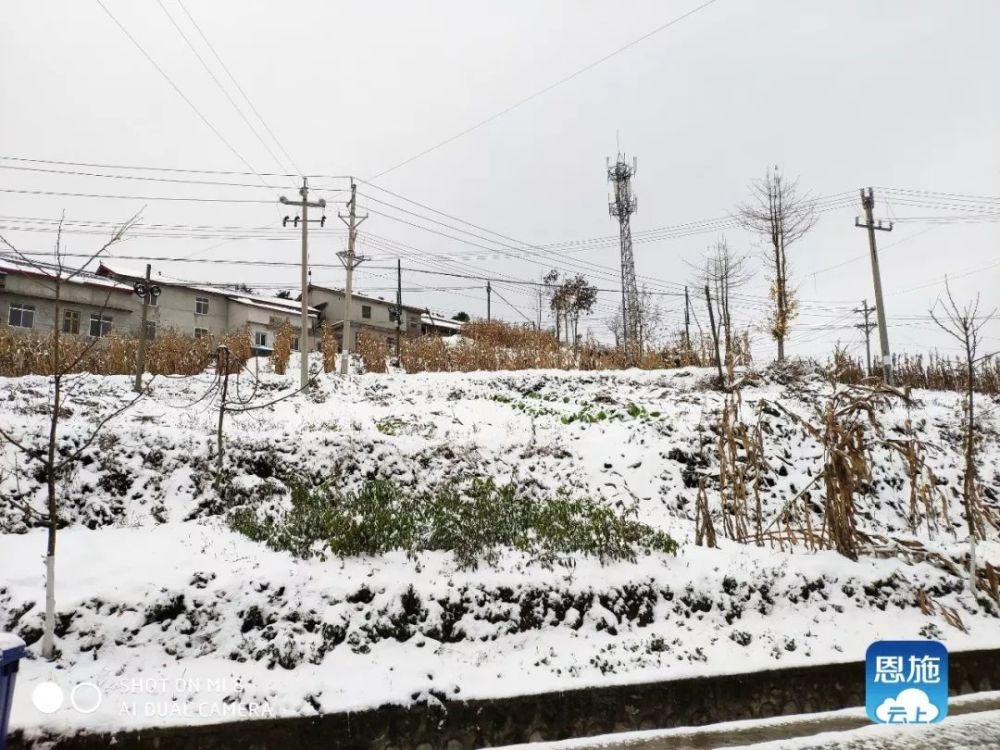 恩施各地雪景图在此!你那里下雪了吗?