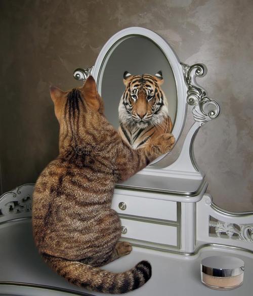 镜子中的自己到底是不是真实的自己?