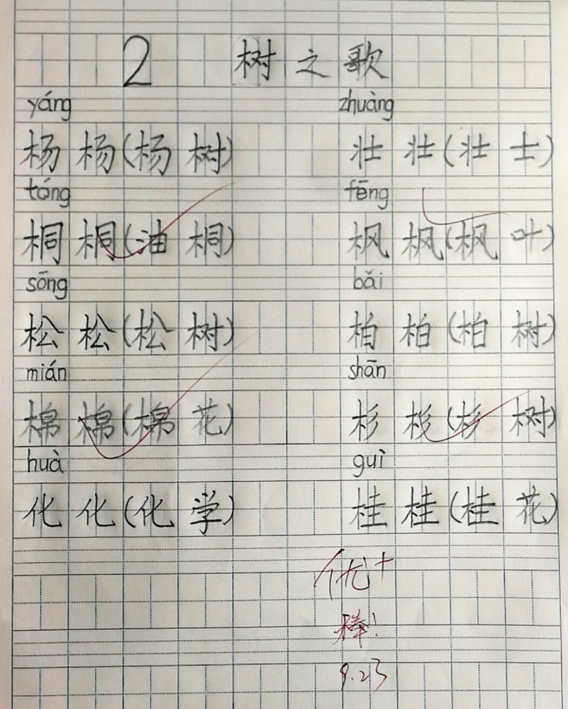 小学生的家庭作业获优秀,字迹工整漂亮如印刷体,网友