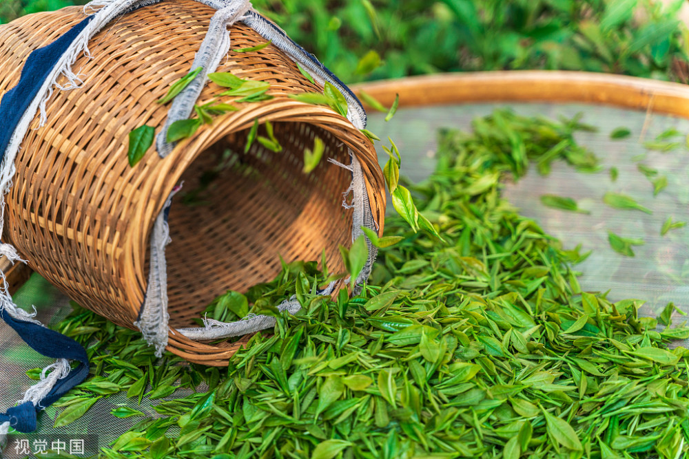 中国十大茗茶之西湖龙井