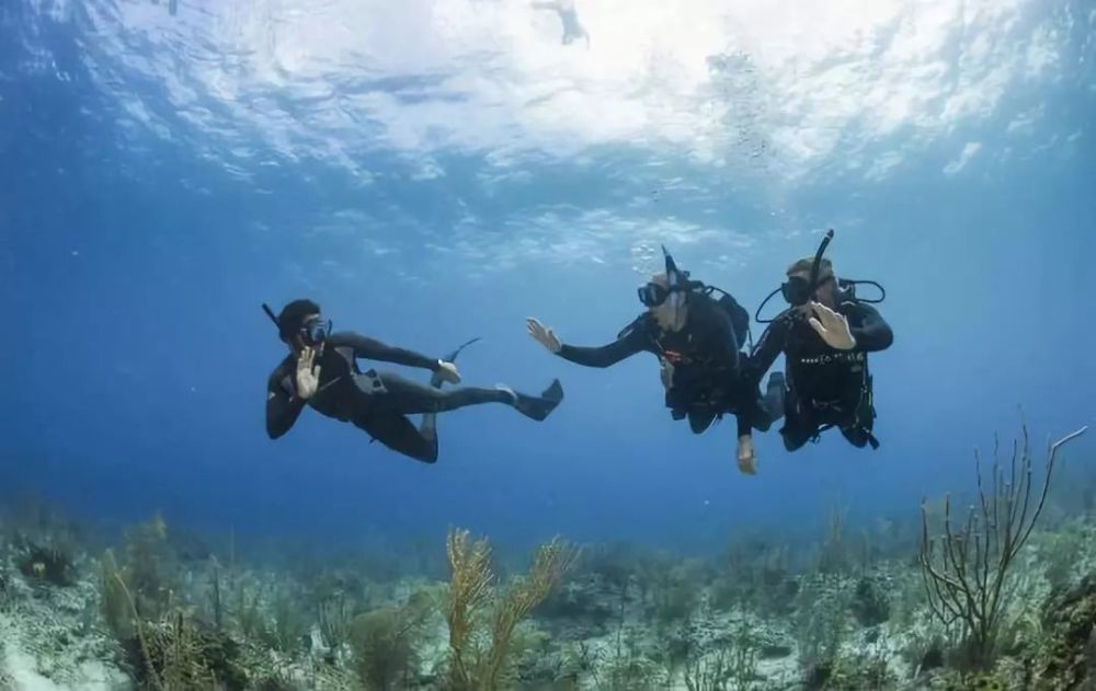 水肺潜水 vs 自由潜水,你喜欢哪个?