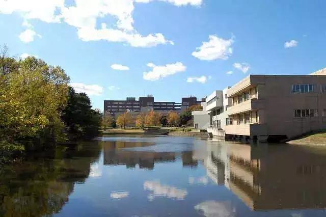 日本,武藏野美术大学,英美,多摩美术大学,东京艺术大学,大学,高校