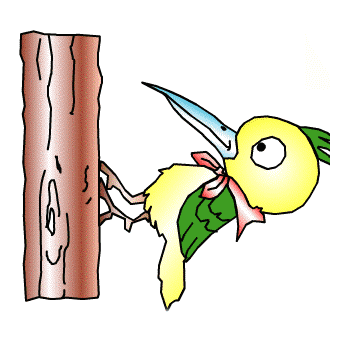 啄木鸟都这样了还不得脑震荡