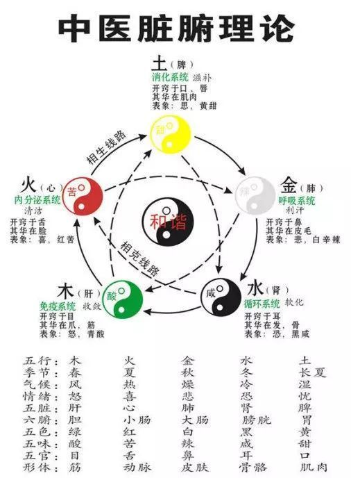 易经常用图表,八卦图及五行图