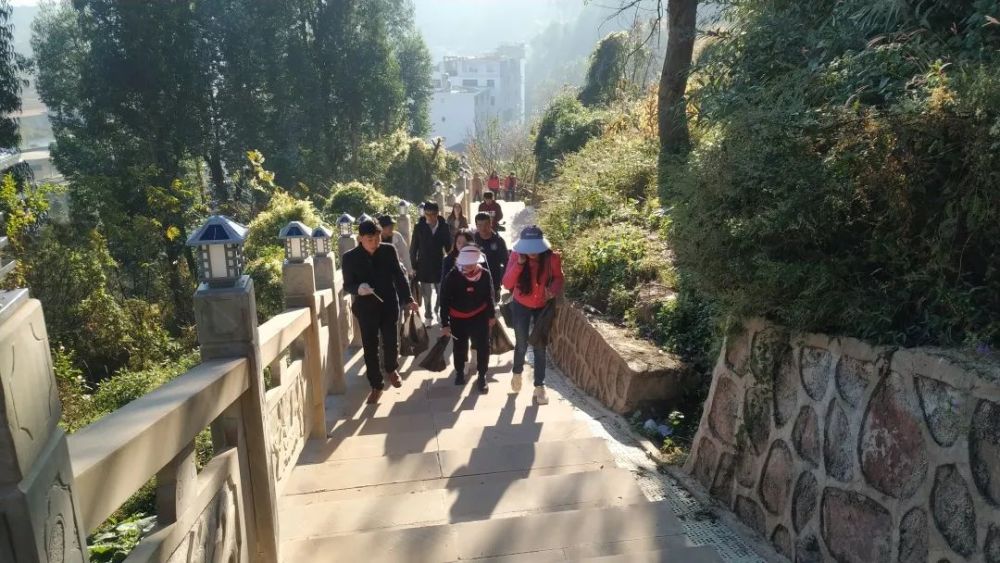 志愿服务,县委宣传部,龙凤山公园,会东县