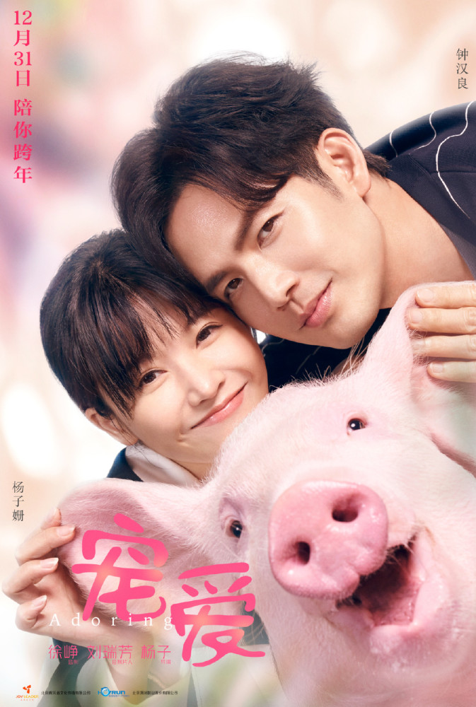 12月31日上映的两部电影,《宠爱》超强阵容集结,另一部你还看吗