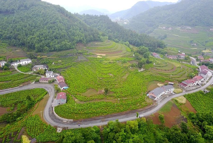 石泉县,云雾山,池河,饶峰