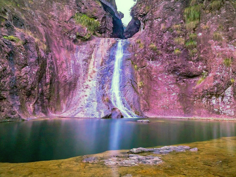 铜铃山国家森林公园,原始森林,文成县,景区,旅游