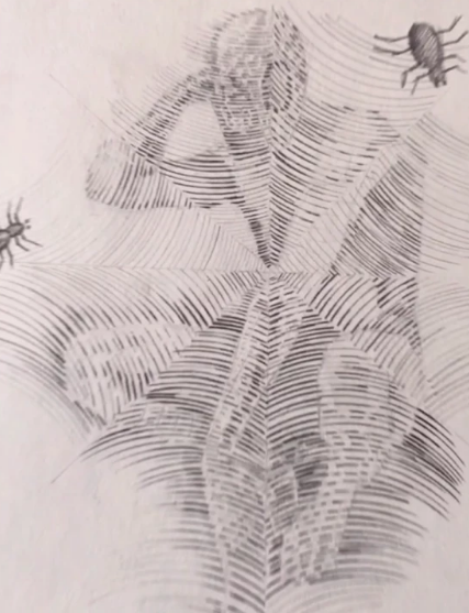 美术生,绘画,大神,新手