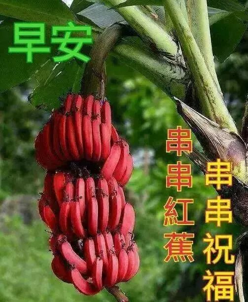 温馨的早上好漂亮祝福动态图片带字 早上好暖心祝福句子