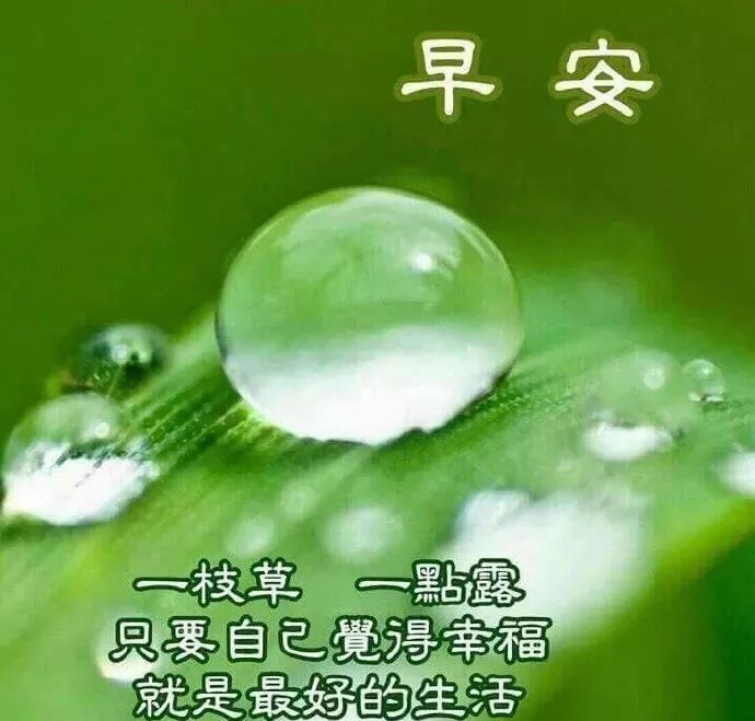 2月18日早安问候语图片动态表情最新版,早上好温馨问候语录图片带字