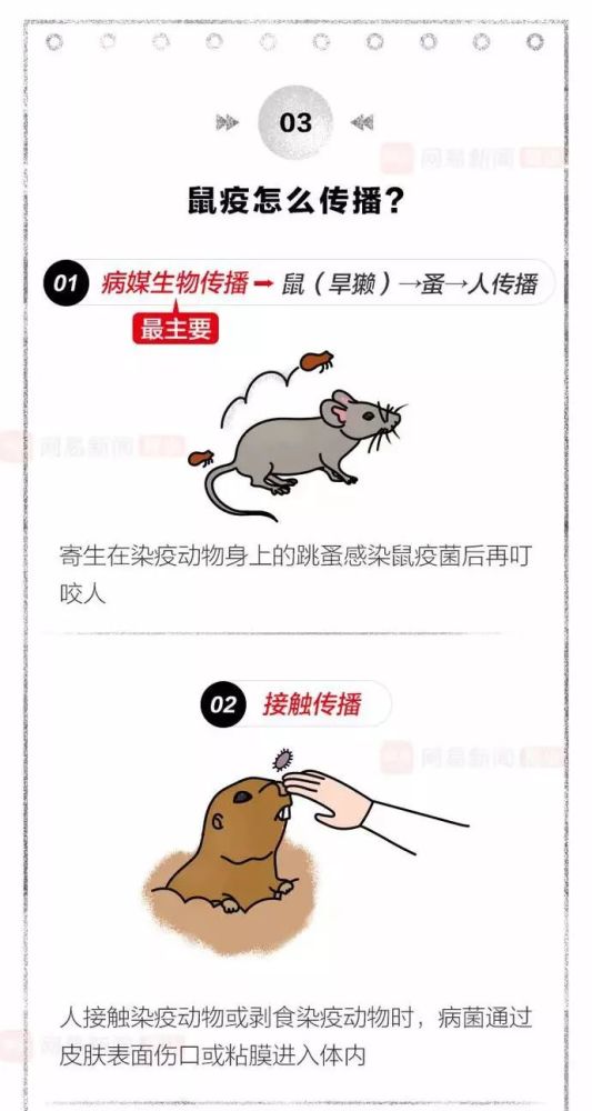 鼠疫的症状 腾讯网