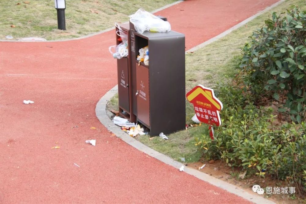 城市变美了,您的行为美不美呢?