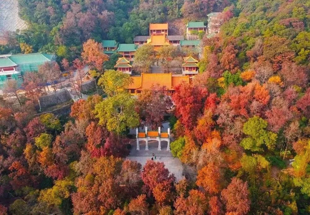 登高望远,赏红叶,感受进入最佳观赏期的圭峰山  感受圭峰山的最佳