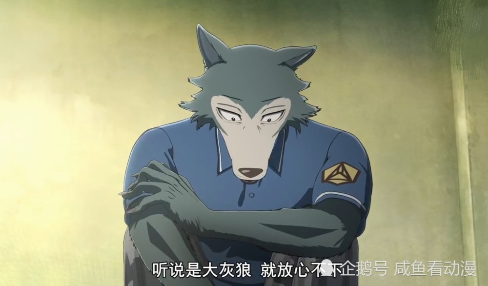 《beastars》刚兵的出现对雷格西意义非凡,足以影响雷格西的一生