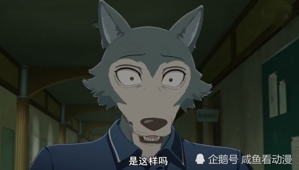 《beastars》刚兵的出现对雷格西意义非凡,足以影响雷格西的一生