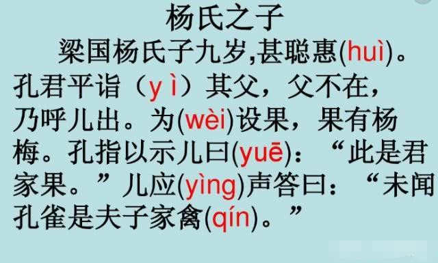 小学五年级语文《杨氏之子》的试讲内容分享——教师资格证