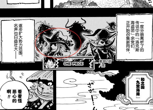 白胡子海贼团,海贼王,和之国,路飞,大将