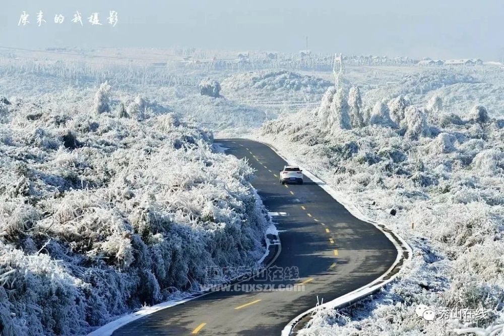 秀山川河盖下雪了!