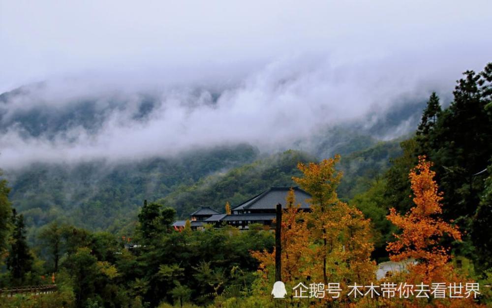 鬼谷岭国家森林公园,鬼谷子,安康,道教,云雾山,陕西