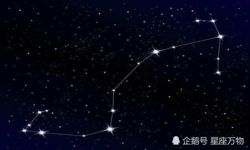 夏天夜晚星空中最亮的一颗星,原来属于这个星座