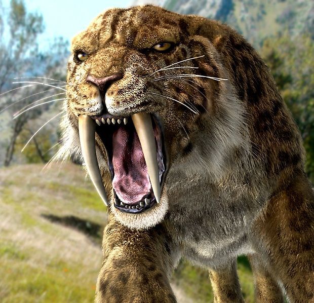 冰河时代前5名凶残的捕食者,人类与动物的大厮杀