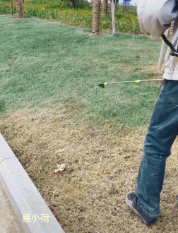 搞笑gif趣图:女朋友卡住了,我该怎么办啊?在线等!