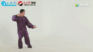陈氏太极拳精要十八式动图全解,收藏起来容易学!