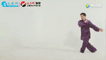 陈氏太极拳精要十八式动图全解,收藏起来容易学!