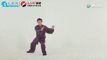 陈氏太极拳精要十八式动图全解,收藏起来容易学!