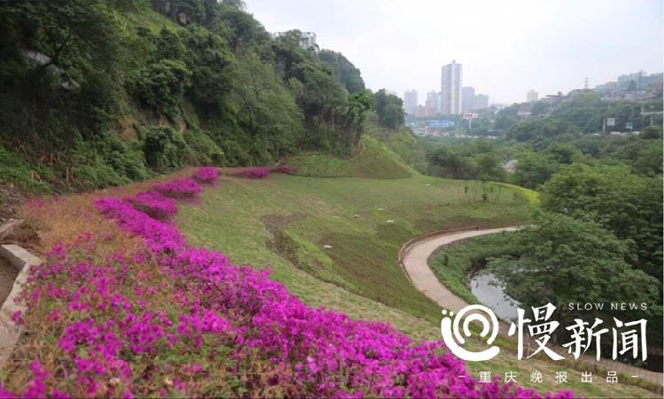 重庆沙坪坝新增8个社区公园 看看在你家门口没有