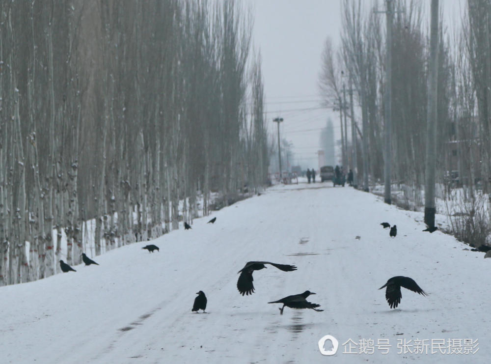 世界最长寿老人：131岁，爱吃烤羊肉(组图)