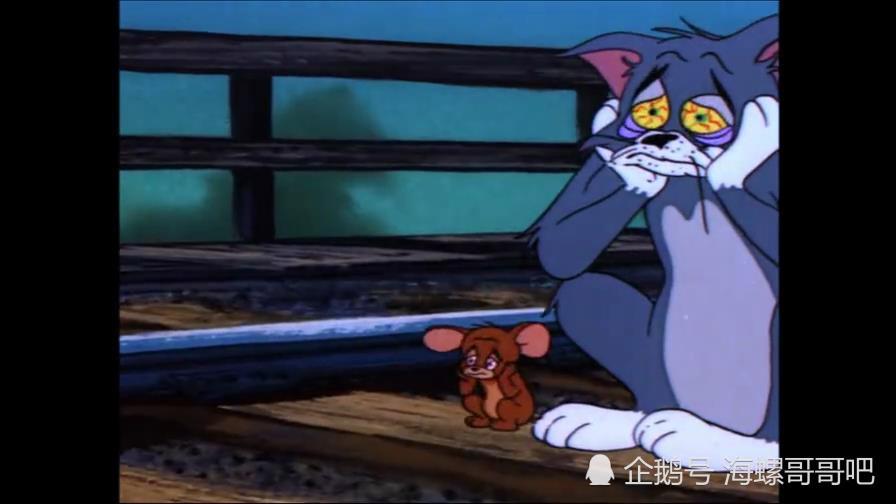 猫和老鼠:痴情的汤姆,为了一只白猫,压上了自己的全部
