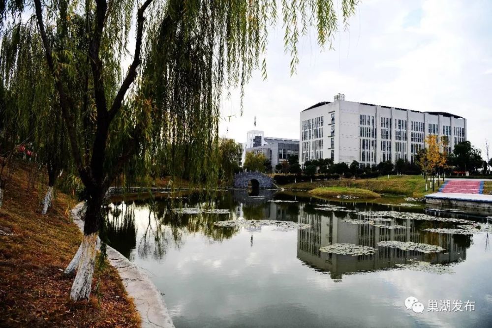 高校,巢湖,合肥师范学院,合肥职业技术学院,安徽建筑大学城市建设学院