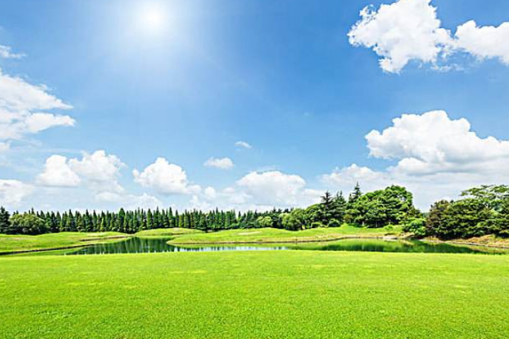 心理测试:选出让自己觉得舒适的一块草地,测测你内心