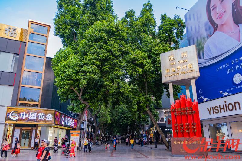"岭东雄郡"人居根脉之地,惠州"九街十八巷"何时雄风再现?
