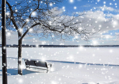 我慢慢的听雪落下的声音
