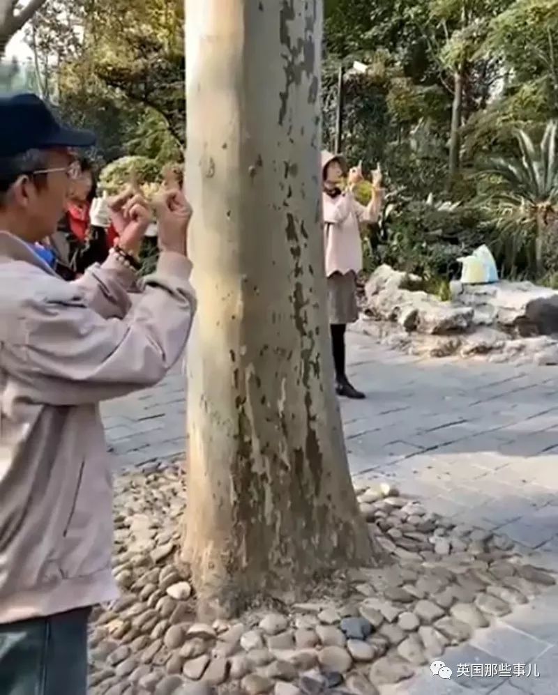 中国大爷大妈再次震惊外国网友: