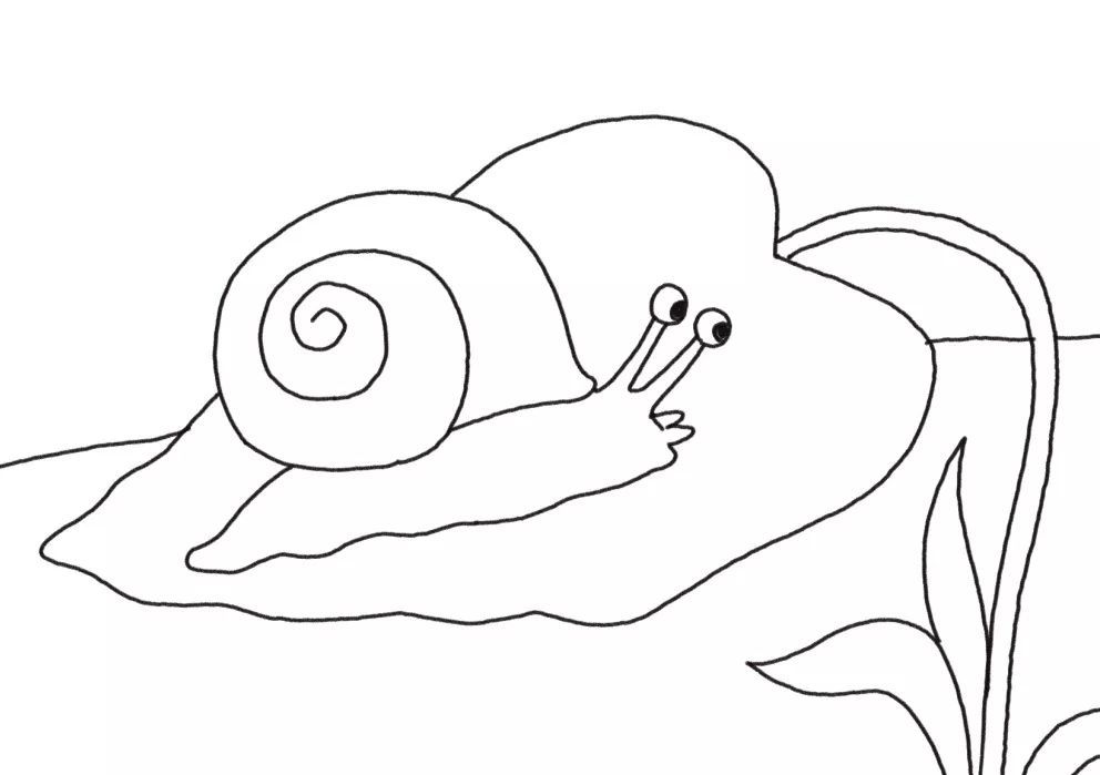 大象和蜗牛简笔画