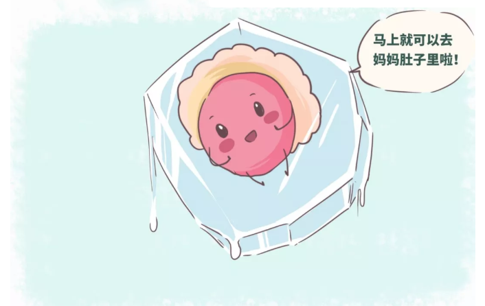 冻胚胎移植后有哪些注意事项?